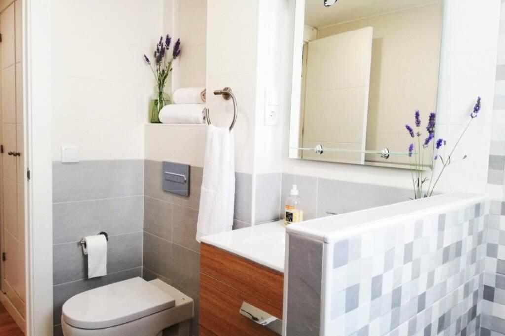 Cobexo. Moderno Y Luminoso En El Centro De Jaca Apartment Ngoại thất bức ảnh