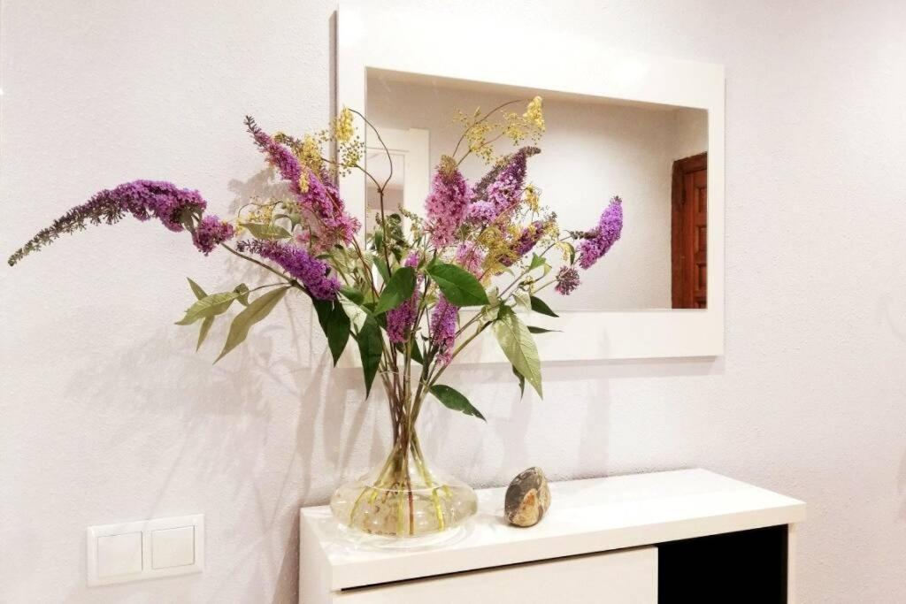 Cobexo. Moderno Y Luminoso En El Centro De Jaca Apartment Ngoại thất bức ảnh